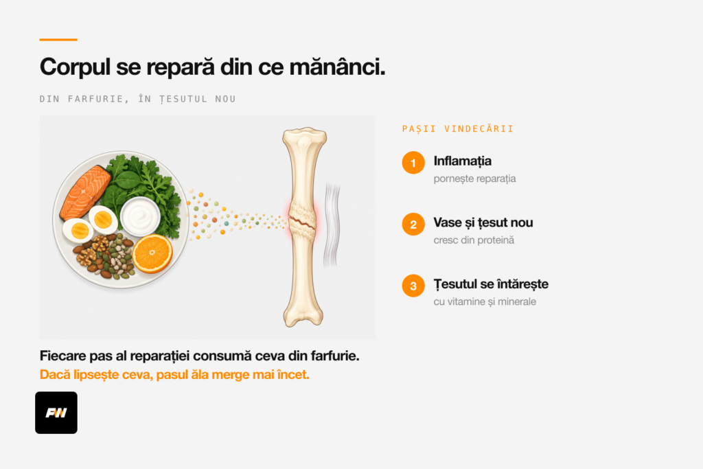 Os și ligament care se refac, hrănite cu proteină, omega-3, vitamine și minerale din farfurie