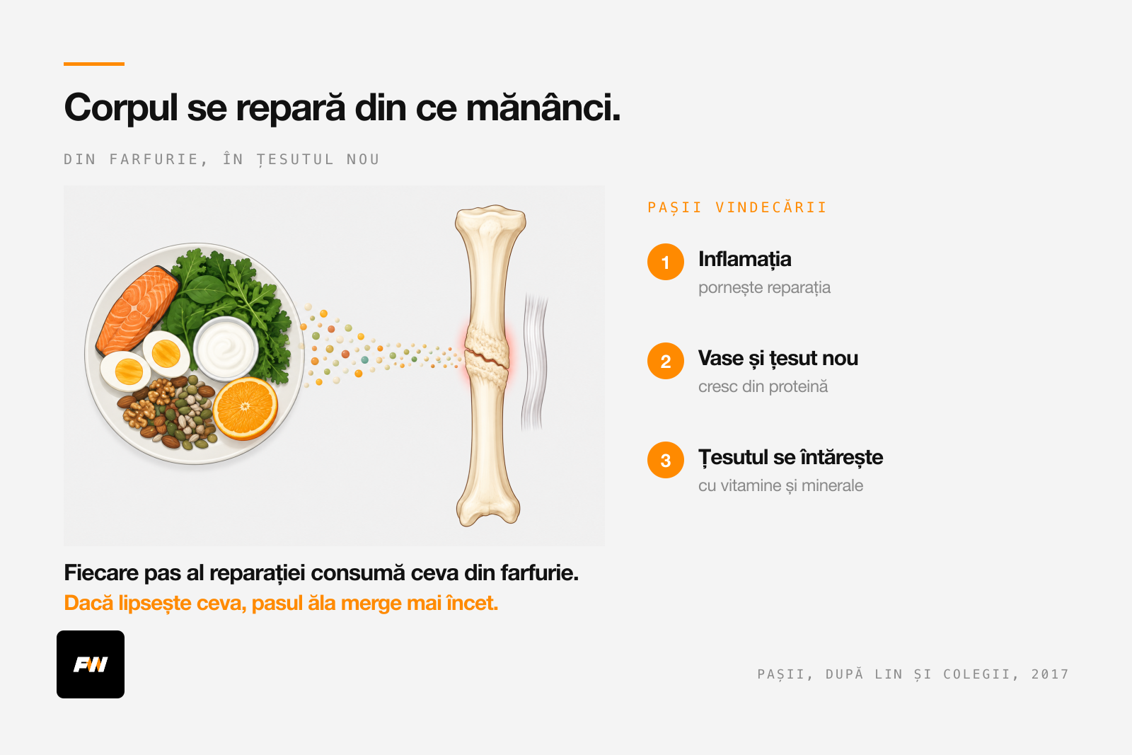 Os și ligament care se refac, hrănite cu proteină, omega-3, vitamine și minerale din farfurie