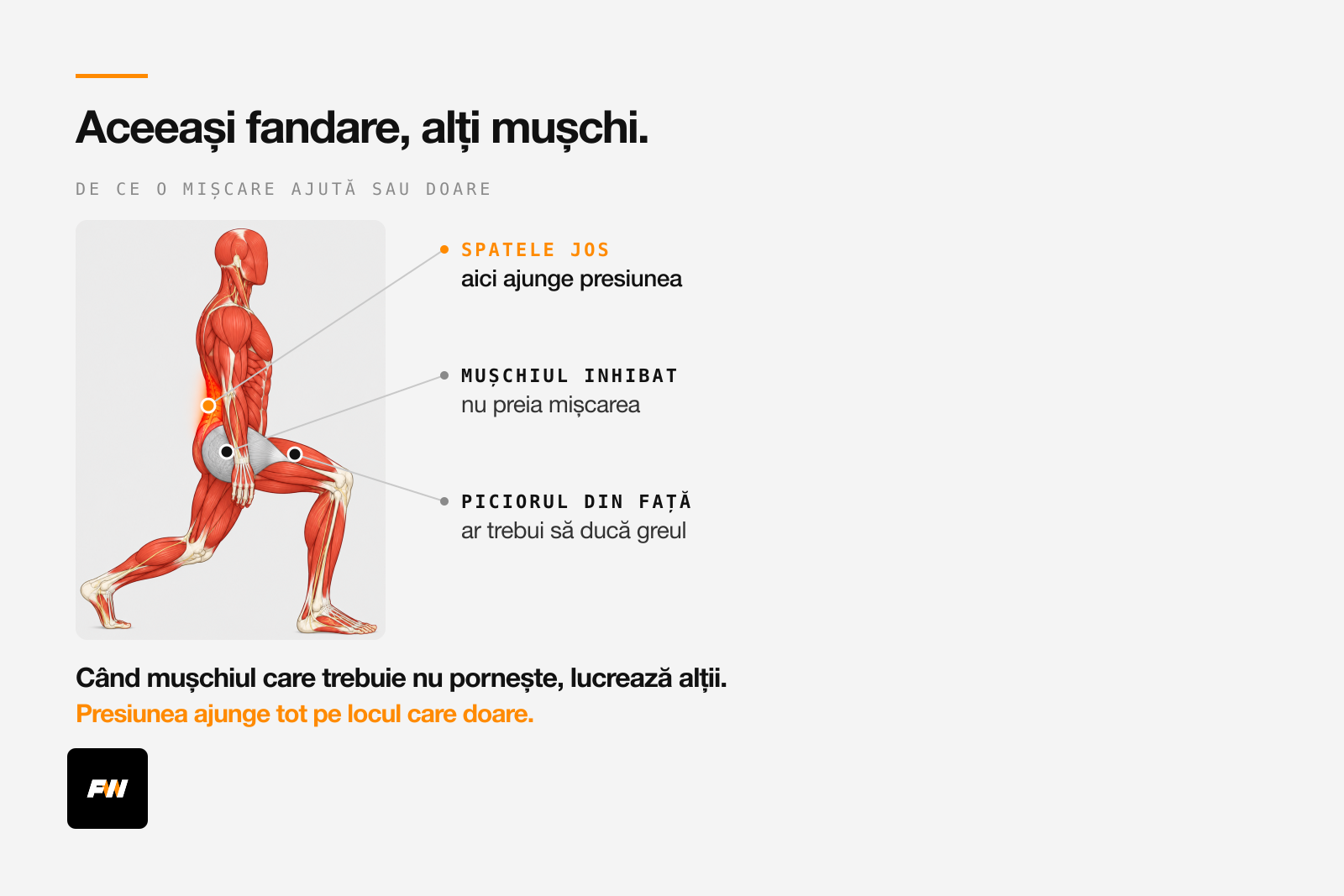 Fandare desenată anatomic: mușchiul inhibat nu preia mișcarea, iar presiunea ajunge pe spatele jos