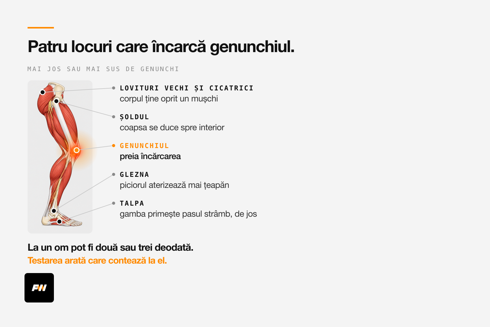 Glezna, șoldul, talpa și loviturile vechi, patru locuri din care se poate încărca genunchiul