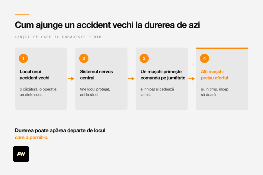 Lanțul de la un accident vechi la mușchiul inhibat și la durerea de azi
