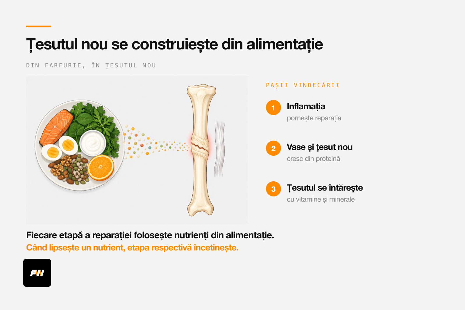 Os și ligament care se refac, hrănite cu proteină, omega-3, vitamine și minerale din farfurie
