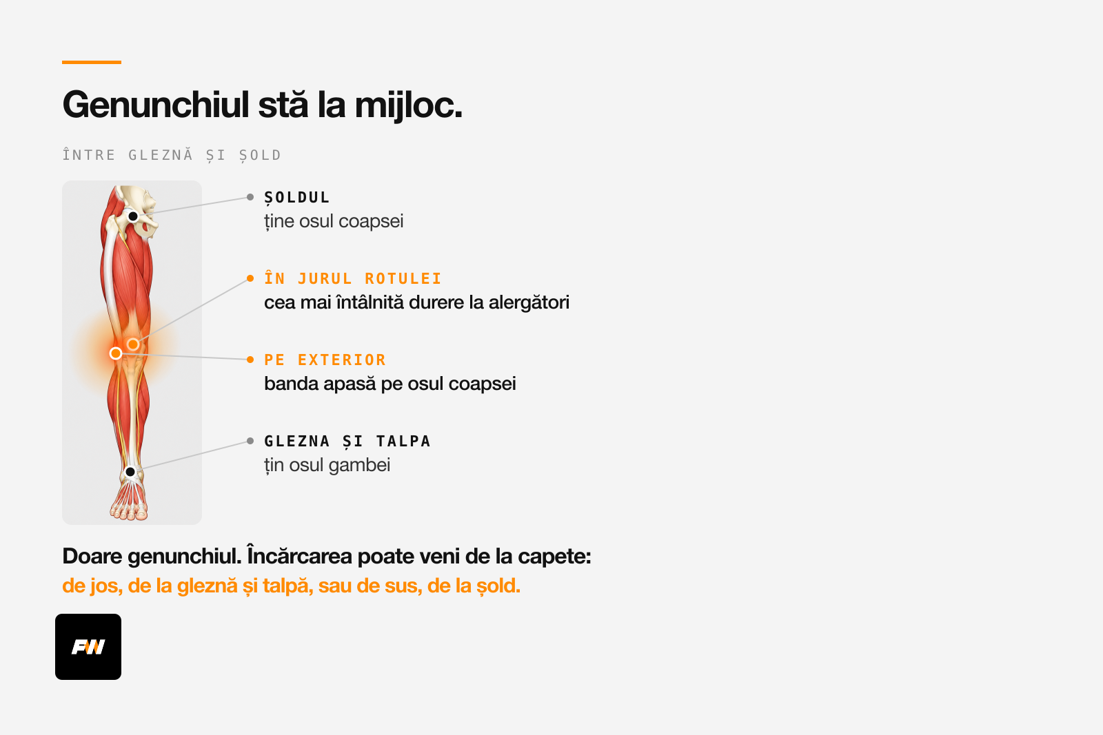 Piciorul unui alergător, cu genunchiul la mijloc între gleznă și șold și zonele de durere